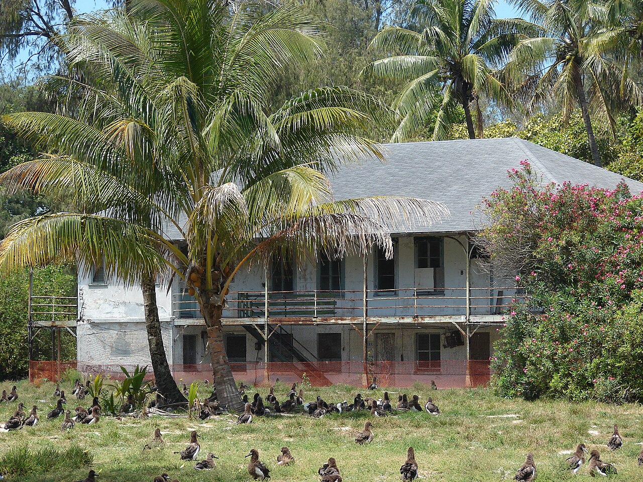 Midway Atoll