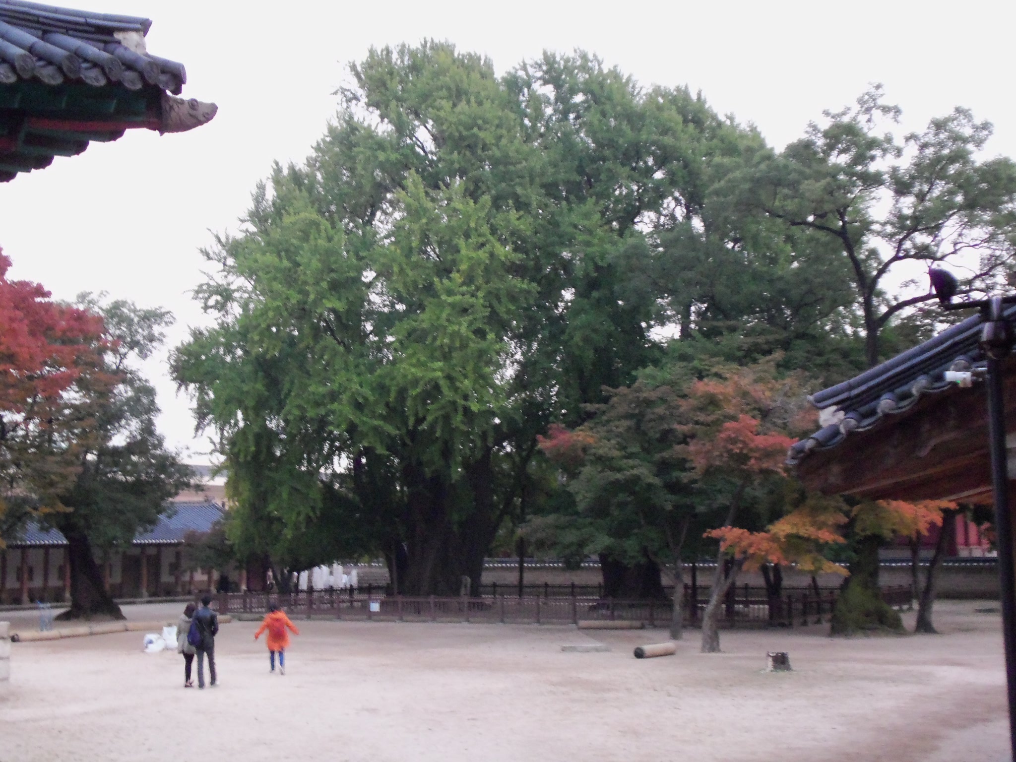 Sungkyunkwan University