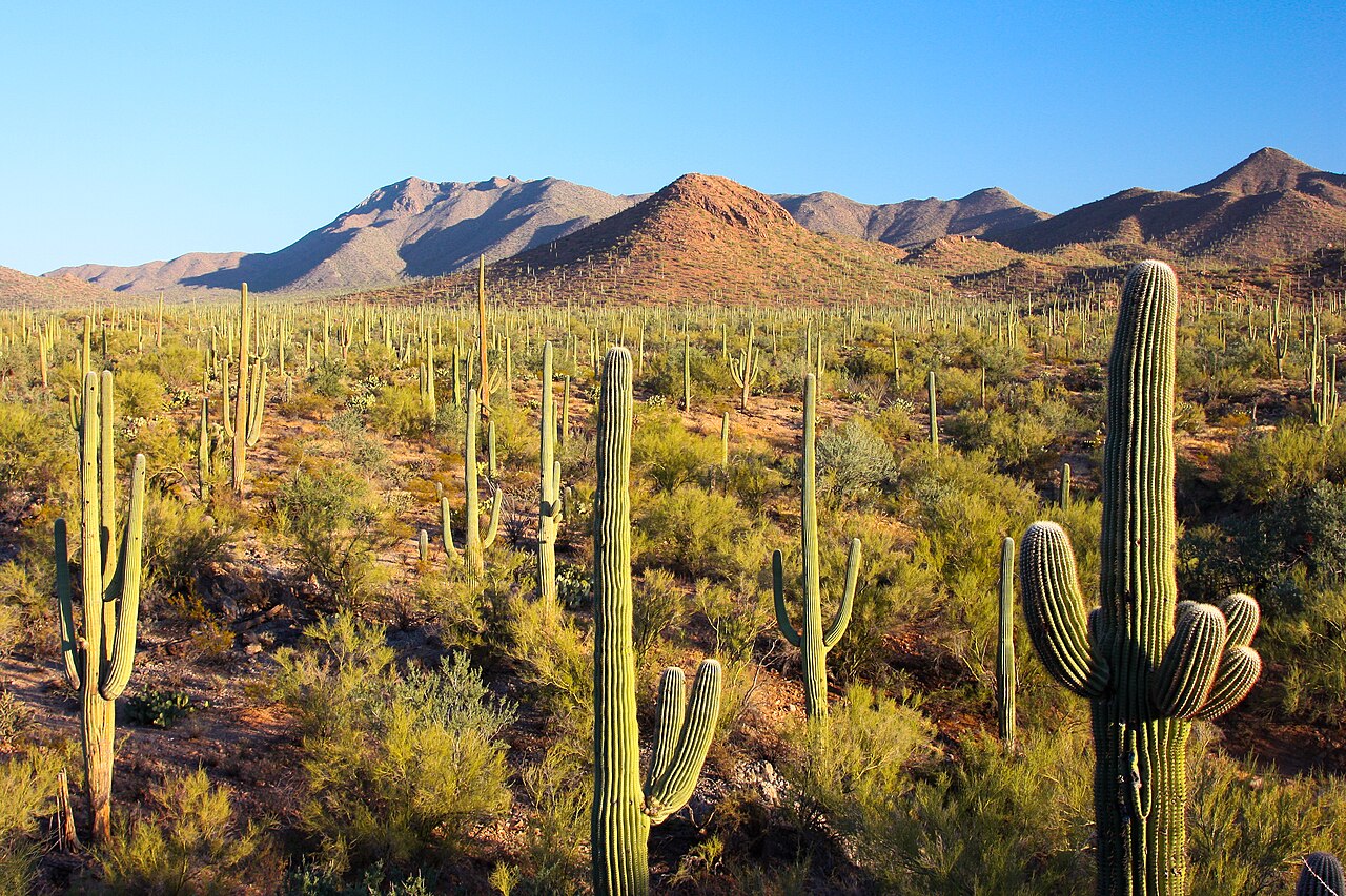Tohono O'odham Nation